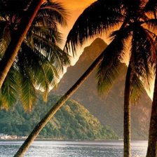 Схема вышивки «пальмы, море...»