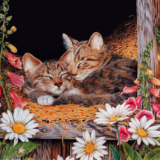 Схема вышивки «котята»