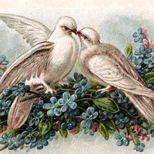 Схема вышивки «голуби»