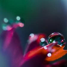 Схема вышивки «капля 2»