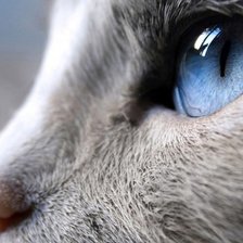 Схема вышивки «взгляд на мир»