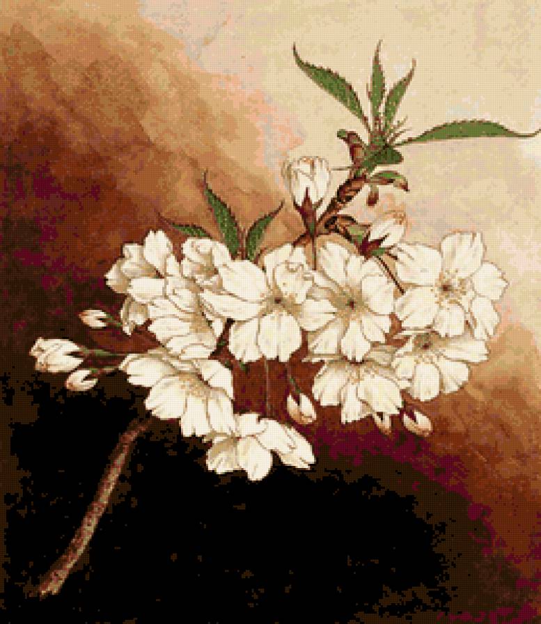 Flower - предпросмотр