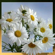 Схема вышивки «№281295»