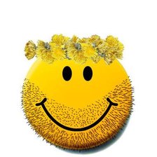 Схема вышивки «смайлик»