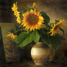 Схема вышивки «подсолнухи»