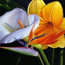 Схема вышивки «Цветы»