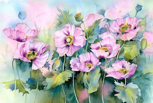 Серия "Букет" - маки, цветы, букет - оригинал