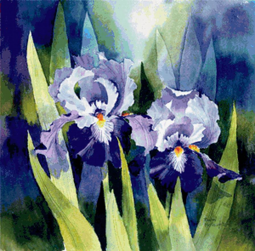 Серия "Букет" - цветы, ирисы, букет - предпросмотр
