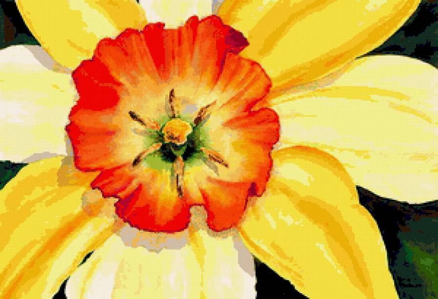 Серия "Букет" - нарциссы, букет, цветы - предпросмотр