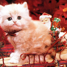 Схема вышивки «Киса»