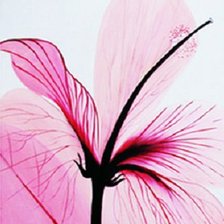 Схема вышивки «1»