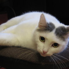 Схема вышивки «Кити»