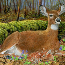 Схема вышивки «красота»