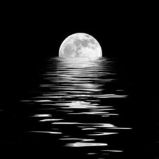 Схема вышивки «№281919»