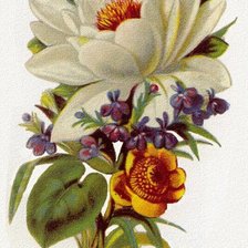 Схема вышивки «букет цветов»