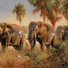 Схема вышивки «Слоны»