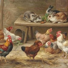 Схема вышивки «Птичий двор»