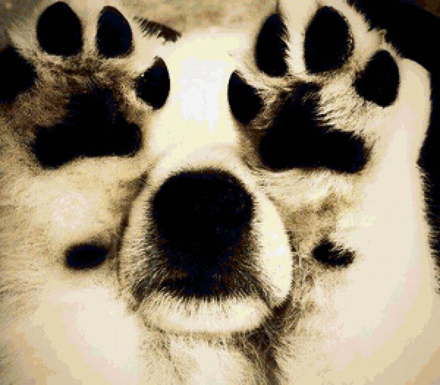 ...я иду искать... - собака - предпросмотр