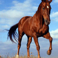 Схема вышивки «гнедой»