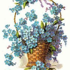 Схема вышивки «незабудки»