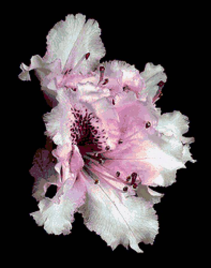 №282131 - предпросмотр