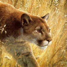 Схема вышивки «на охоте»