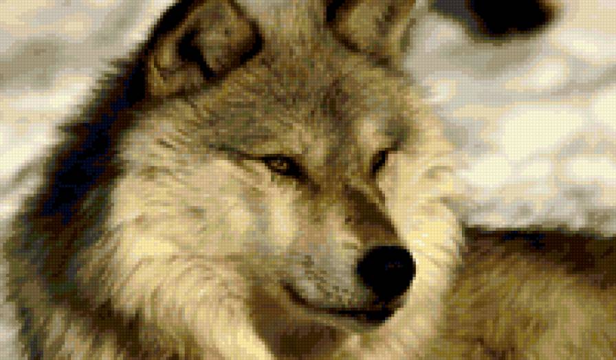 123456 - предпросмотр