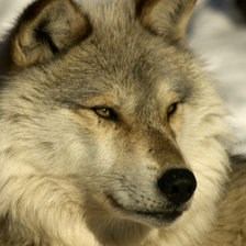 Схема вышивки «123456»