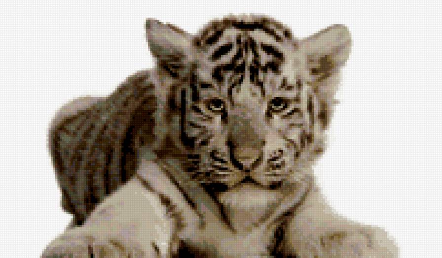 киса - предпросмотр