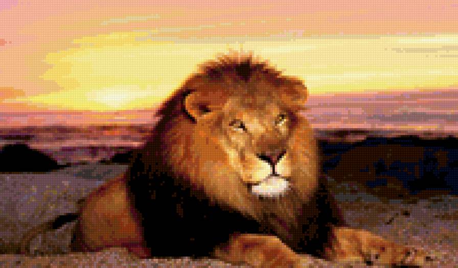 король-лев - предпросмотр