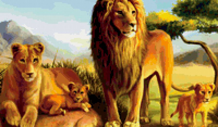 львиная семья - предпросмотр