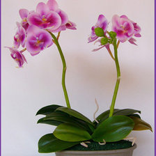 Схема вышивки «орхидеи»