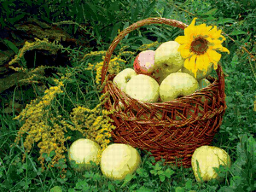 урожай - корзина, яблоки, фрукты, урожай - предпросмотр