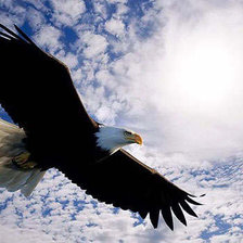 Схема вышивки «№282333»