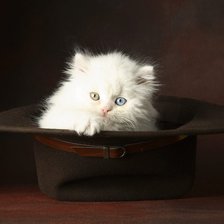 Схема вышивки «серия "животные"»