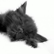 Схема вышивки «серия "животные"»