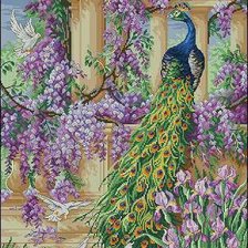 Схема вышивки «павы»