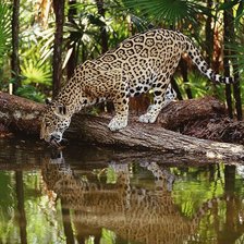 Схема вышивки «№282561»