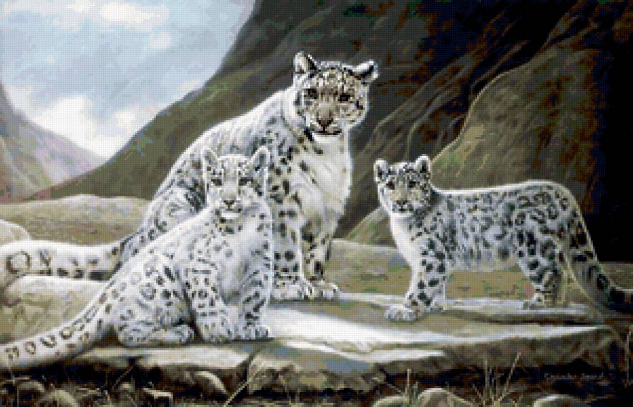 Кошачье семейство - предпросмотр