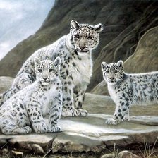 Кошачье семейство