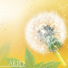 Схема вышивки «серия "цветы"»