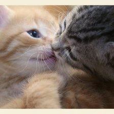 Схема вышивки «№282755»