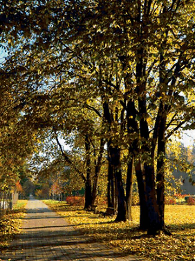 аллея - природа - предпросмотр