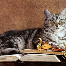 Схема вышивки «профессор»