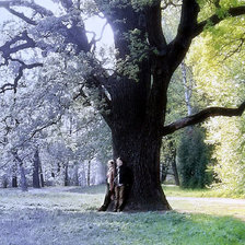 Схема вышивки «Зима-Лето»