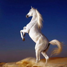 Схема вышивки «серия "животные"»