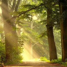 Схема вышивки «Полумрак»