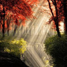 Схема вышивки «Осень»