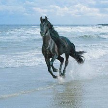 Схема вышивки «серия "животные"»