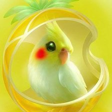 Схема вышивки «серия "птицы"»